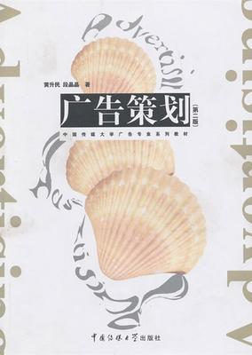 广告策划 从策略到落地的完整指南